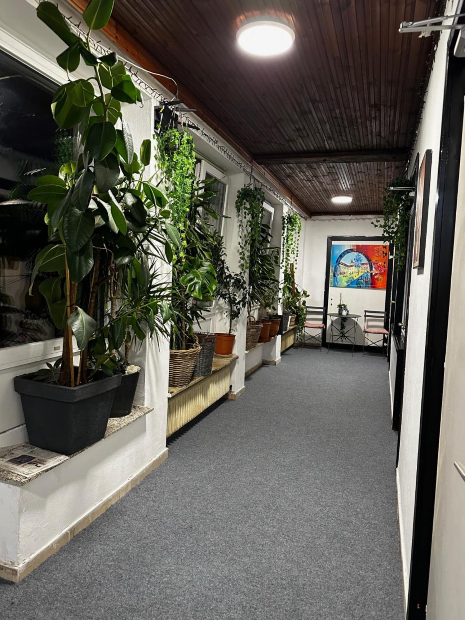Hostel Lovely Rooms, City Center, Shared Bathroom, Windows To Corridor Villach Exterior photo