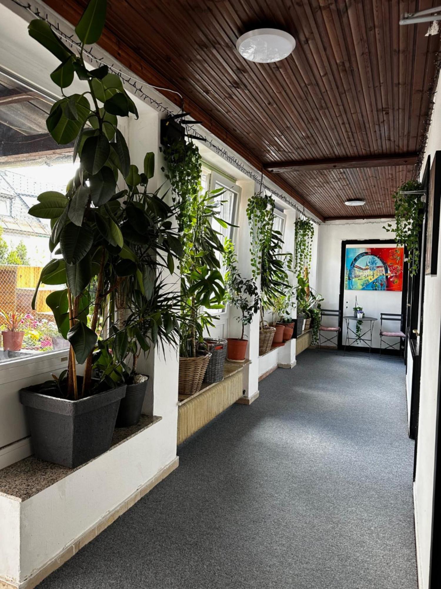 Hostel Lovely Rooms, City Center, Shared Bathroom, Windows To Corridor Villach Exterior photo